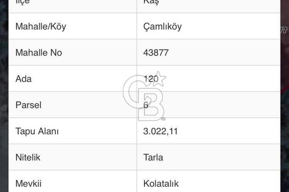 CB GİZ'DEN KAŞ ÇAMLIKÖY'DE SATILIK TARLA