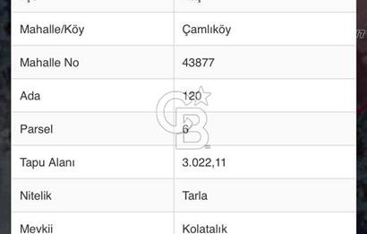 CB GİZ'DEN KAŞ ÇAMLIKÖY'DE SATILIK TARLA