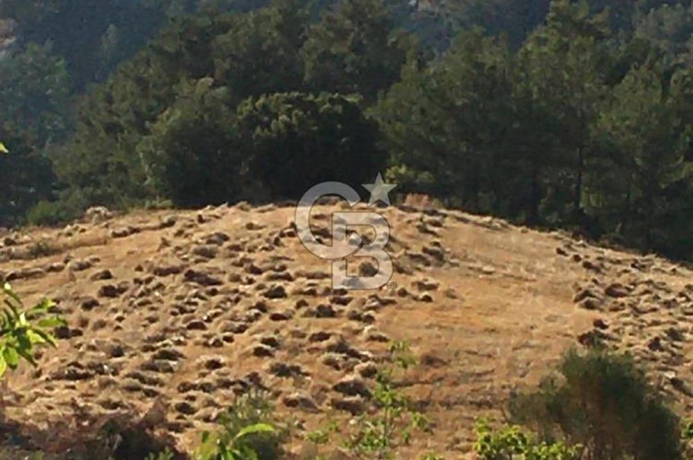 CB GİZ'DEN KAŞ ÇAMLIKÖY'DE SATILIK TARLA
