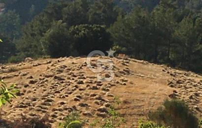 CB GİZ'DEN KAŞ ÇAMLIKÖY'DE SATILIK TARLA