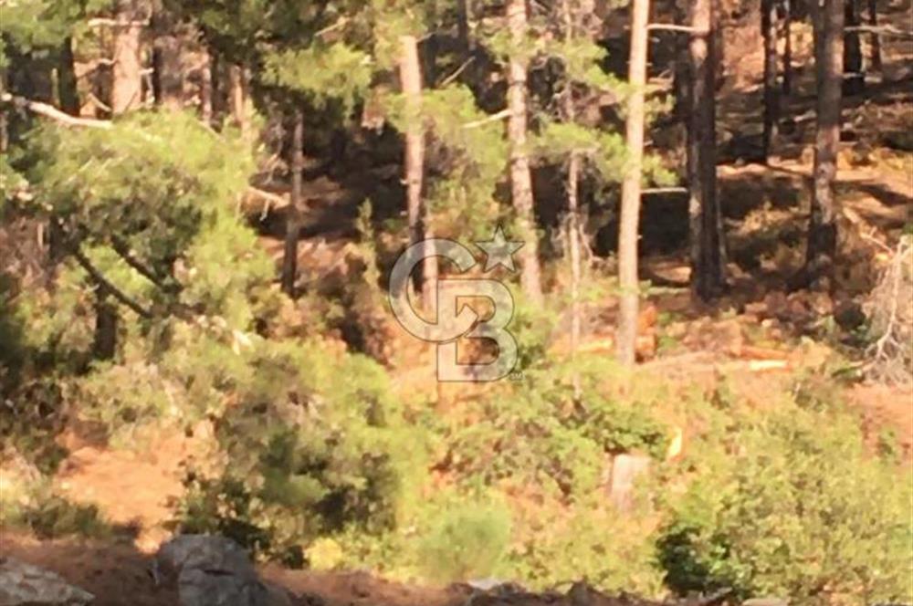 CB GİZ'DEN KAŞ ÇAMLIKÖY'DE SATILIK TARLA