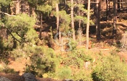 CB GİZ'DEN KAŞ ÇAMLIKÖY'DE SATILIK TARLA