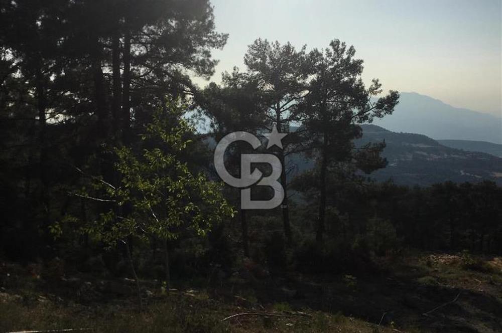 CB GİZ'DEN KAŞ ÇAMLIKÖY'DE SATILIK TARLA