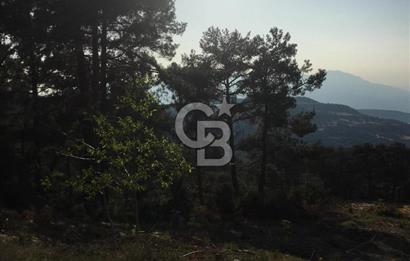 CB GİZ'DEN KAŞ ÇAMLIKÖY'DE SATILIK TARLA