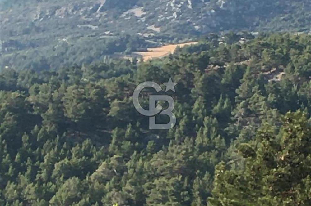 CB GİZ'DEN KAŞ ÇAMLIKÖY'DE SATILIK TARLA