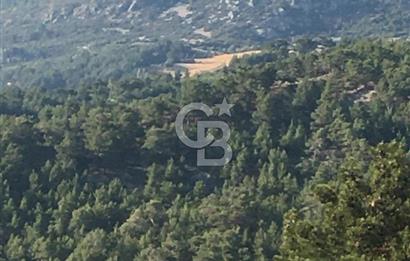 CB GİZ'DEN KAŞ ÇAMLIKÖY'DE SATILIK TARLA