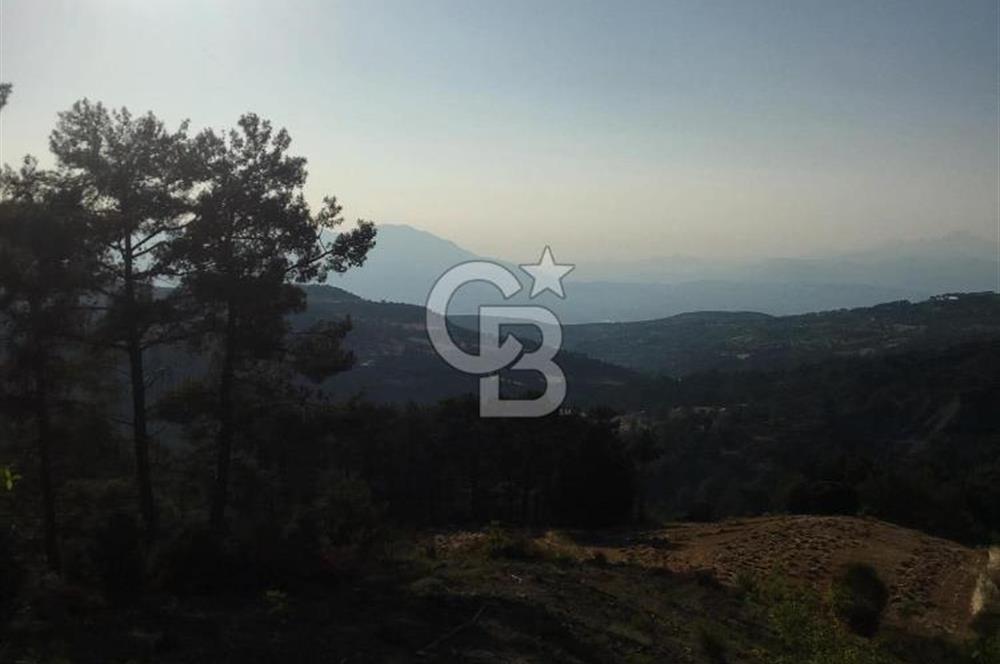 CB GİZ'DEN KAŞ ÇAMLIKÖY'DE SATILIK TARLA