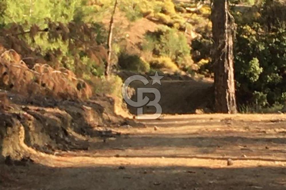 CB GİZ'DEN KAŞ ÇAMLIKÖY'DE SATILIK TARLA