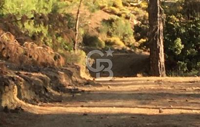 CB GİZ'DEN KAŞ ÇAMLIKÖY'DE SATILIK TARLA