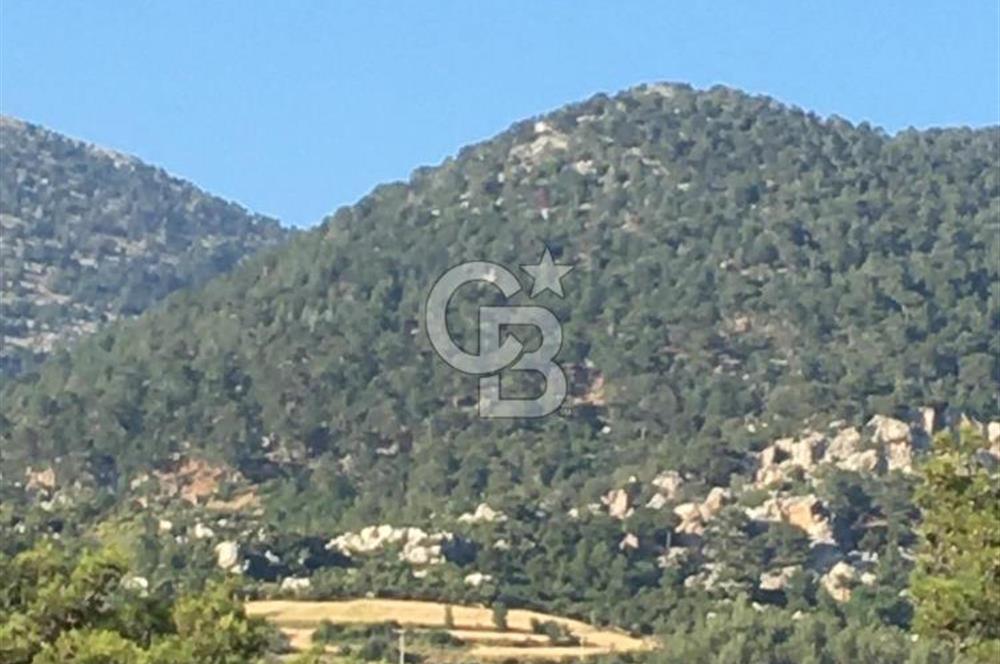 CB GİZ'DEN KAŞ ÇAMLIKÖY'DE SATILIK TARLA