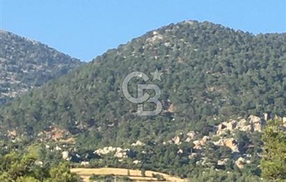 CB GİZ'DEN KAŞ ÇAMLIKÖY'DE SATILIK TARLA