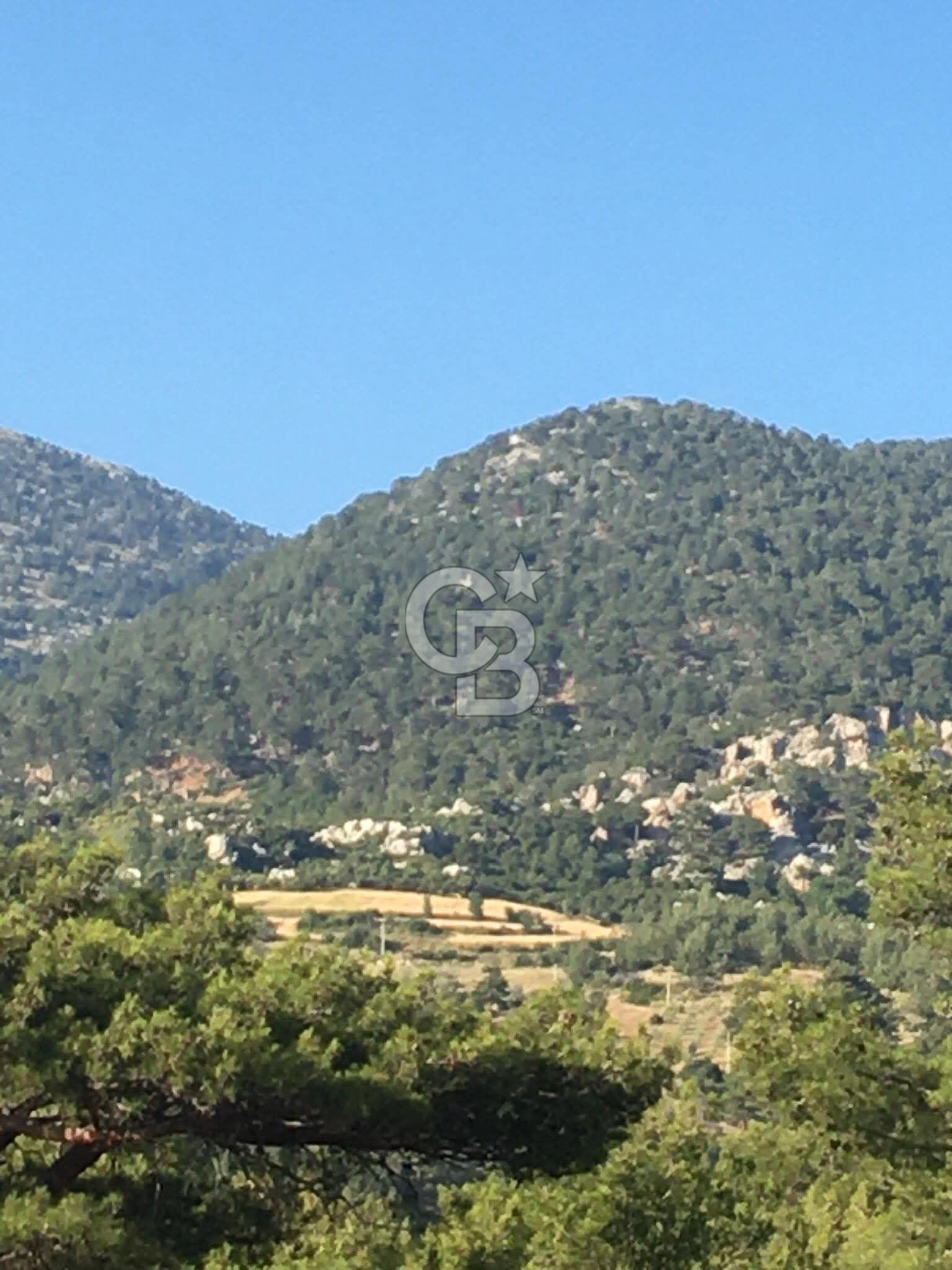 CB GİZ'DEN KAŞ ÇAMLIKÖY'DE SATILIK TARLA