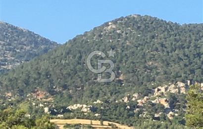 CB GİZ'DEN KAŞ ÇAMLIKÖY'DE SATILIK TARLA