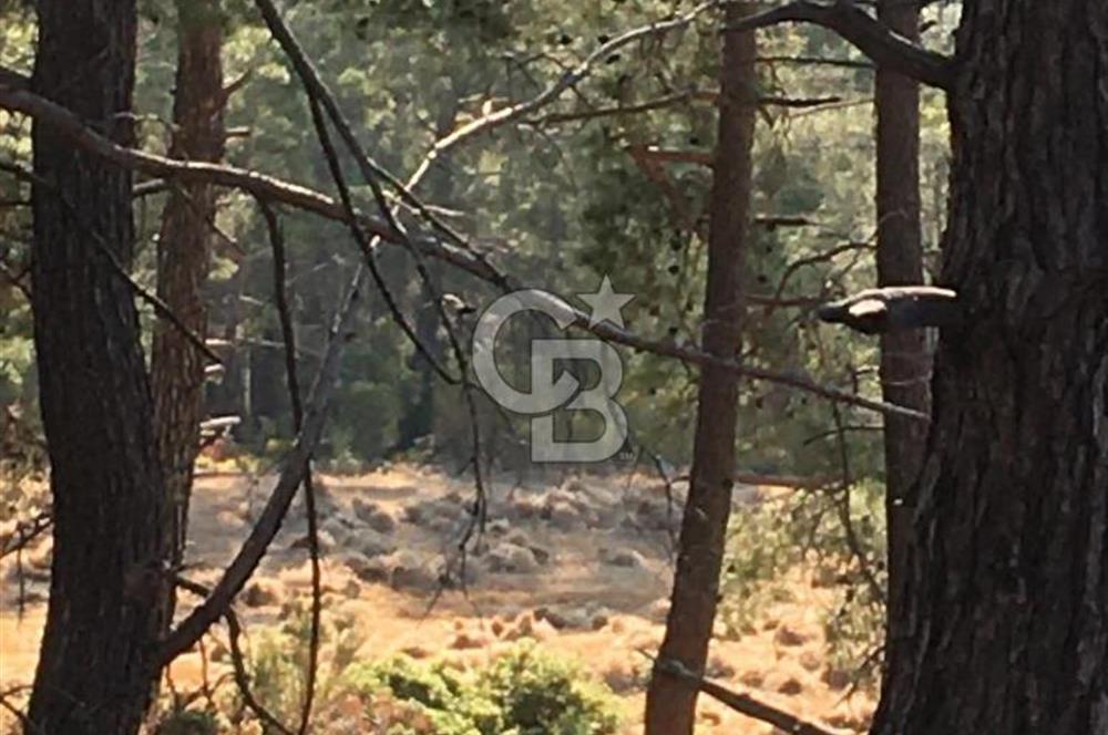 CB GİZ'DEN KAŞ ÇAMLIKÖY'DE SATILIK TARLA