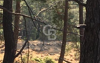 CB GİZ'DEN KAŞ ÇAMLIKÖY'DE SATILIK TARLA