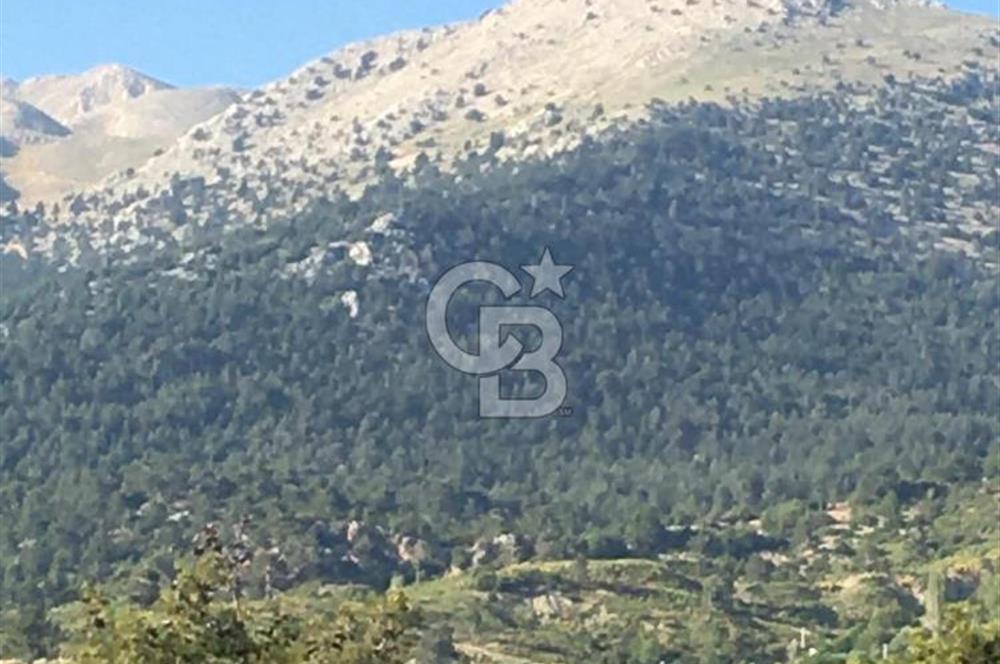 CB GİZ'DEN KAŞ ÇAMLIKÖY'DE SATILIK TARLA