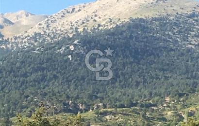 CB GİZ'DEN KAŞ ÇAMLIKÖY'DE SATILIK TARLA