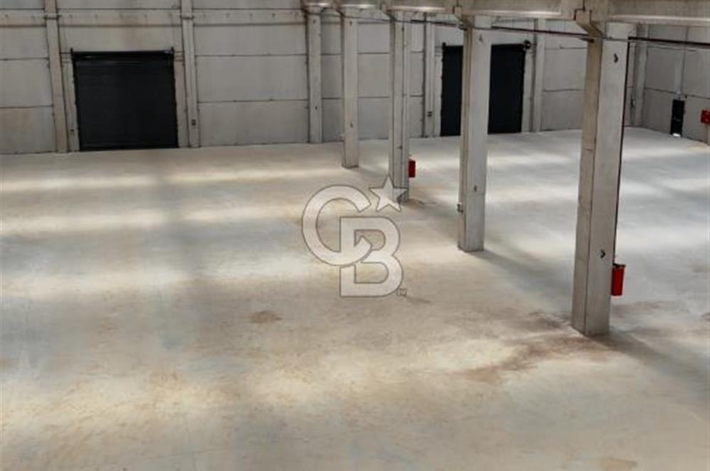 İzmir Menderes Oğlananası Kiralık 2500 m2 Depo Havalimanı Yakını