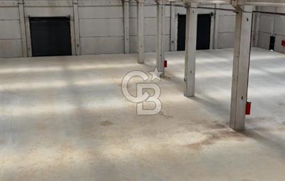İzmir Menderes Oğlananası Kiralık 2500 m2 Depo Havalimanı Yakını