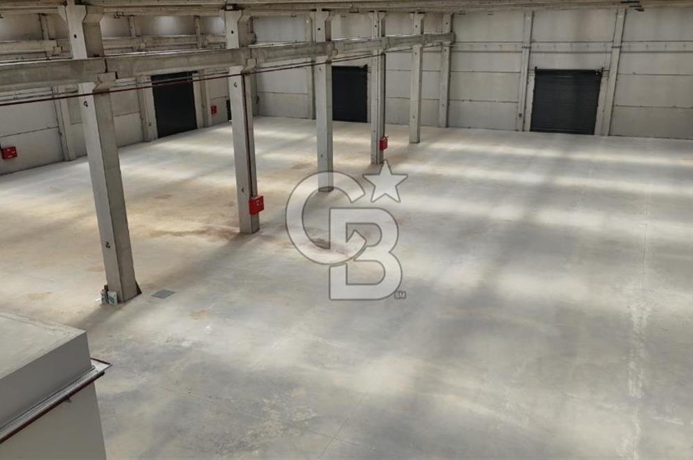 İzmir Menderes Oğlananası Kiralık 2500 m2 Depo Havalimanı Yakını