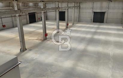 İzmir Menderes Oğlananası Kiralık 2500 m2 Depo Havalimanı Yakını