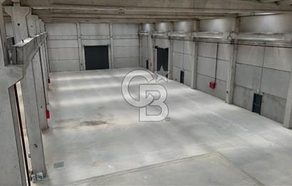 İzmir Menderes Oğlananası Kiralık 2500 m2 Depo Havalimanı Yakını