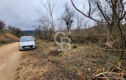 SAKARYA TARAKLI'DA 17.627M² SATILIK TARLA