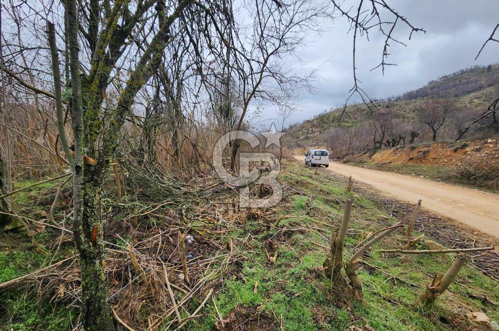 SAKARYA TARAKLI'DA 17.627M² SATILIK TARLA