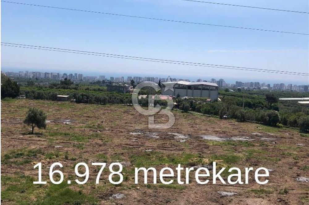 Mezitli Tece’de Soğuk Hava Deposu + Konutlu Eşsiz Tarla Fırsatı