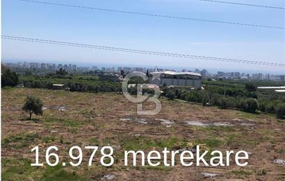 Mezitli Tece’de Soğuk Hava Deposu + Konutlu Eşsiz Tarla Fırsatı