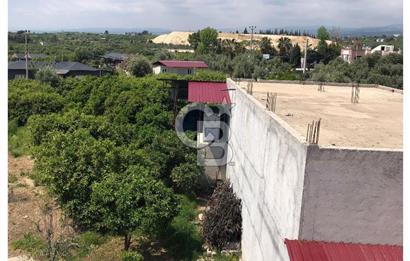 Mezitli Tece’de Soğuk Hava Deposu + Konutlu Eşsiz Tarla Fırsatı