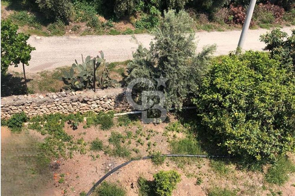 Mezitli Tece’de Soğuk Hava Deposu + Konutlu Eşsiz Tarla Fırsatı