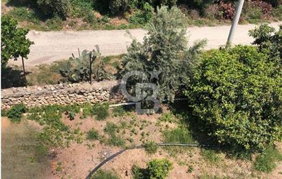 Mezitli Tece’de Soğuk Hava Deposu + Konutlu Eşsiz Tarla Fırsatı