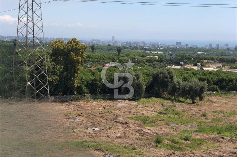 Mezitli Tece’de Soğuk Hava Deposu + Konutlu Eşsiz Tarla Fırsatı