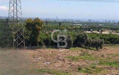 Mezitli Tece’de Soğuk Hava Deposu + Konutlu Eşsiz Tarla Fırsatı