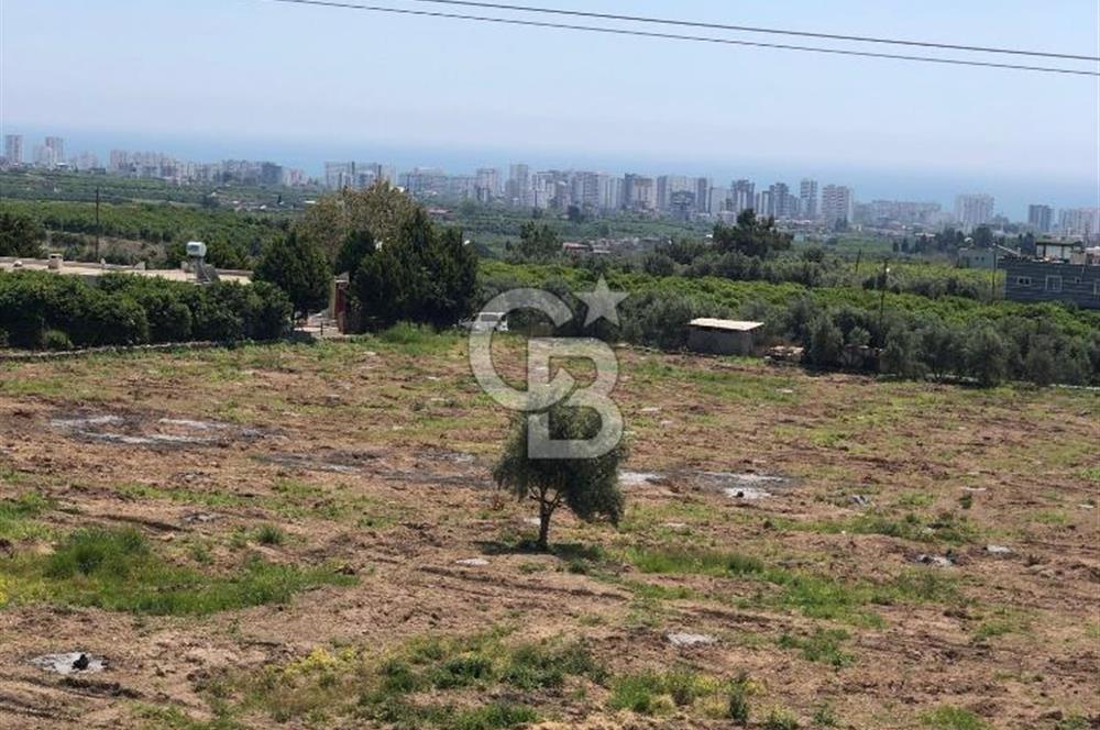 Mezitli Tece’de Soğuk Hava Deposu + Konutlu Eşsiz Tarla Fırsatı