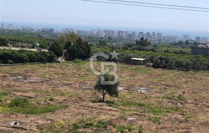 Mezitli Tece’de Soğuk Hava Deposu + Konutlu Eşsiz Tarla Fırsatı