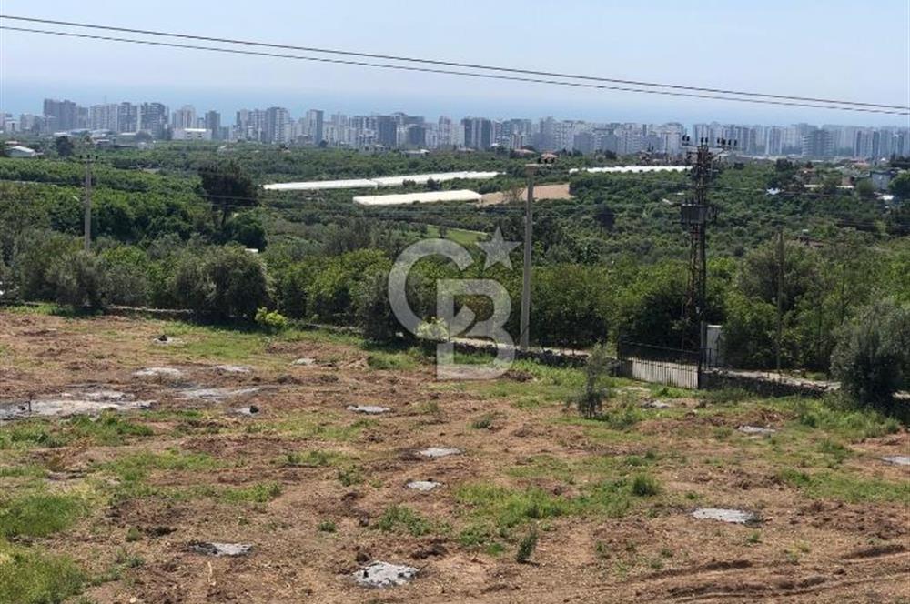 Mezitli Tece’de Soğuk Hava Deposu + Konutlu Eşsiz Tarla Fırsatı