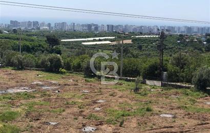 Mezitli Tece’de Soğuk Hava Deposu + Konutlu Eşsiz Tarla Fırsatı