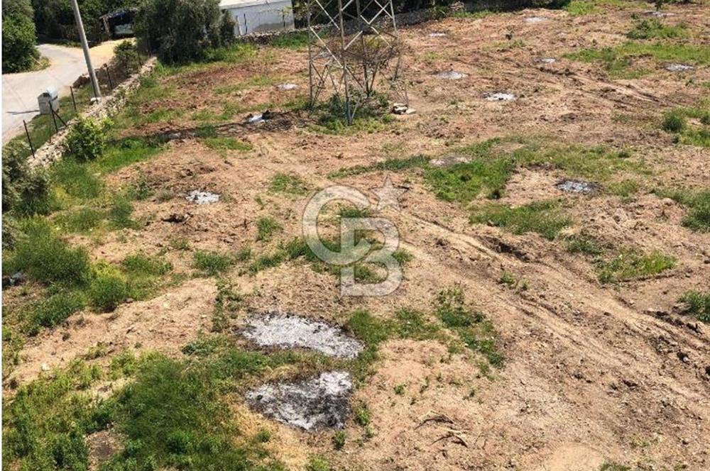 Mezitli Tece’de Soğuk Hava Deposu + Konutlu Eşsiz Tarla Fırsatı