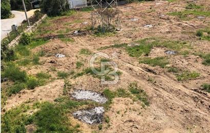 Mezitli Tece’de Soğuk Hava Deposu + Konutlu Eşsiz Tarla Fırsatı