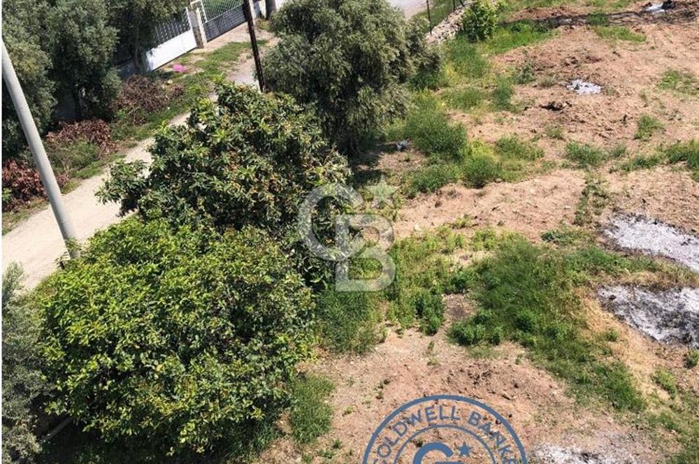 Mezitli Tece’de Soğuk Hava Deposu + Konutlu Eşsiz Tarla Fırsatı