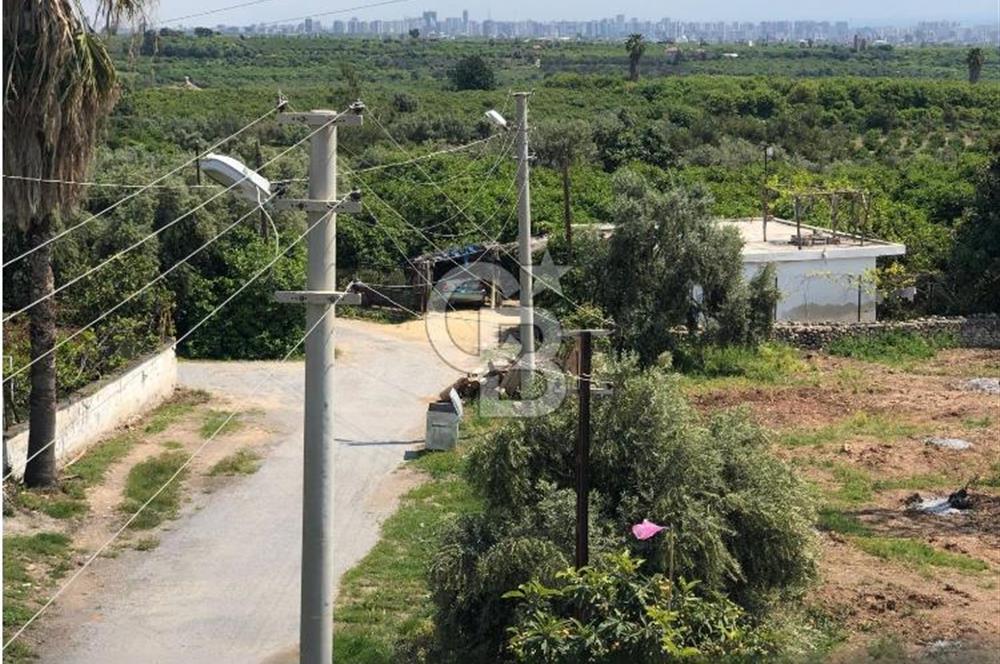 Mezitli Tece’de Soğuk Hava Deposu + Konutlu Eşsiz Tarla Fırsatı