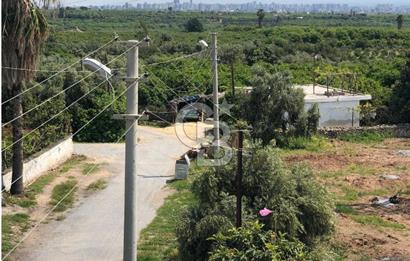 Mezitli Tece’de Soğuk Hava Deposu + Konutlu Eşsiz Tarla Fırsatı