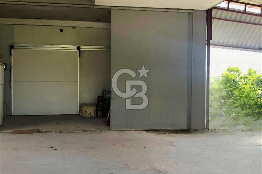 Mezitli Tece’de Soğuk Hava Deposu + Konutlu Eşsiz Tarla Fırsatı