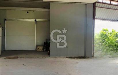 Mezitli Tece’de Soğuk Hava Deposu + Konutlu Eşsiz Tarla Fırsatı