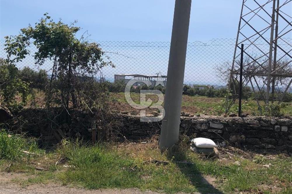 Mezitli Tece’de Soğuk Hava Deposu + Konutlu Eşsiz Tarla Fırsatı