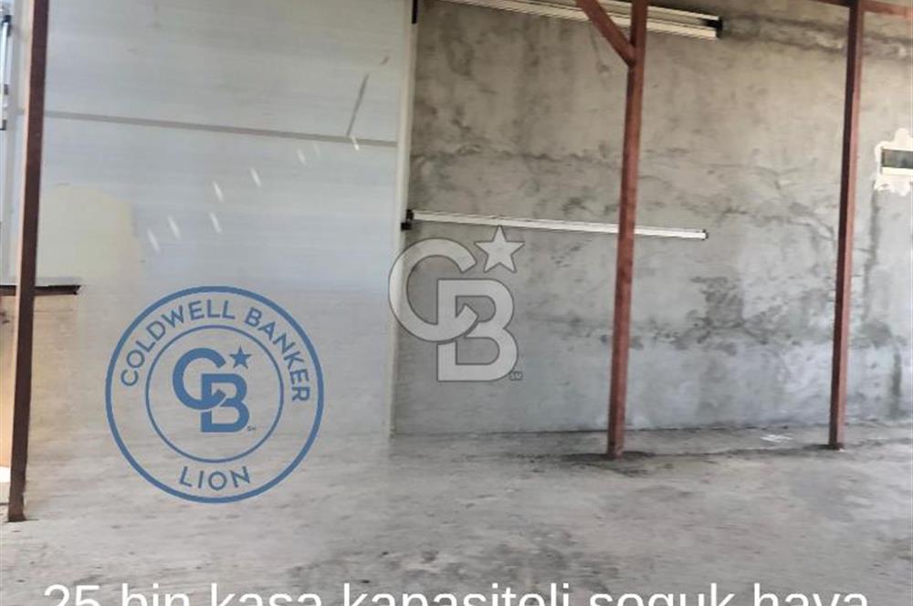 Mezitli Tece’de Soğuk Hava Deposu + Konutlu Eşsiz Tarla Fırsatı