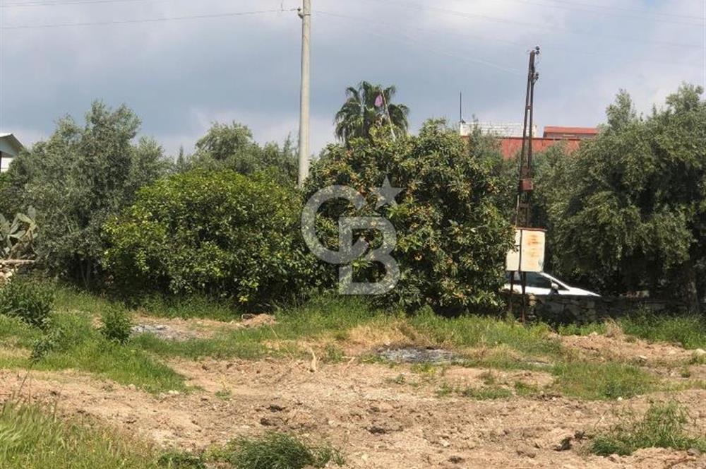 Mezitli Tece’de Soğuk Hava Deposu + Konutlu Eşsiz Tarla Fırsatı