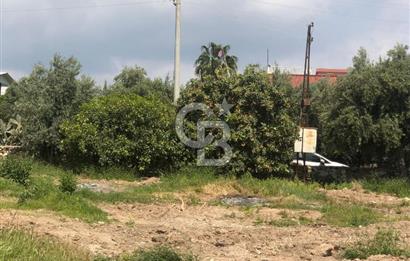 Mezitli Tece’de Soğuk Hava Deposu + Konutlu Eşsiz Tarla Fırsatı